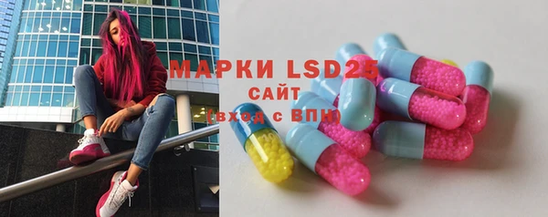 mdpv Тайга